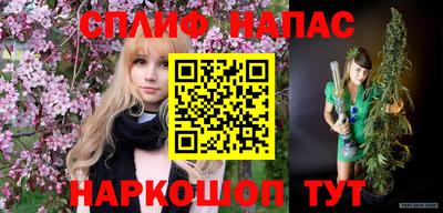 крисы Пенза